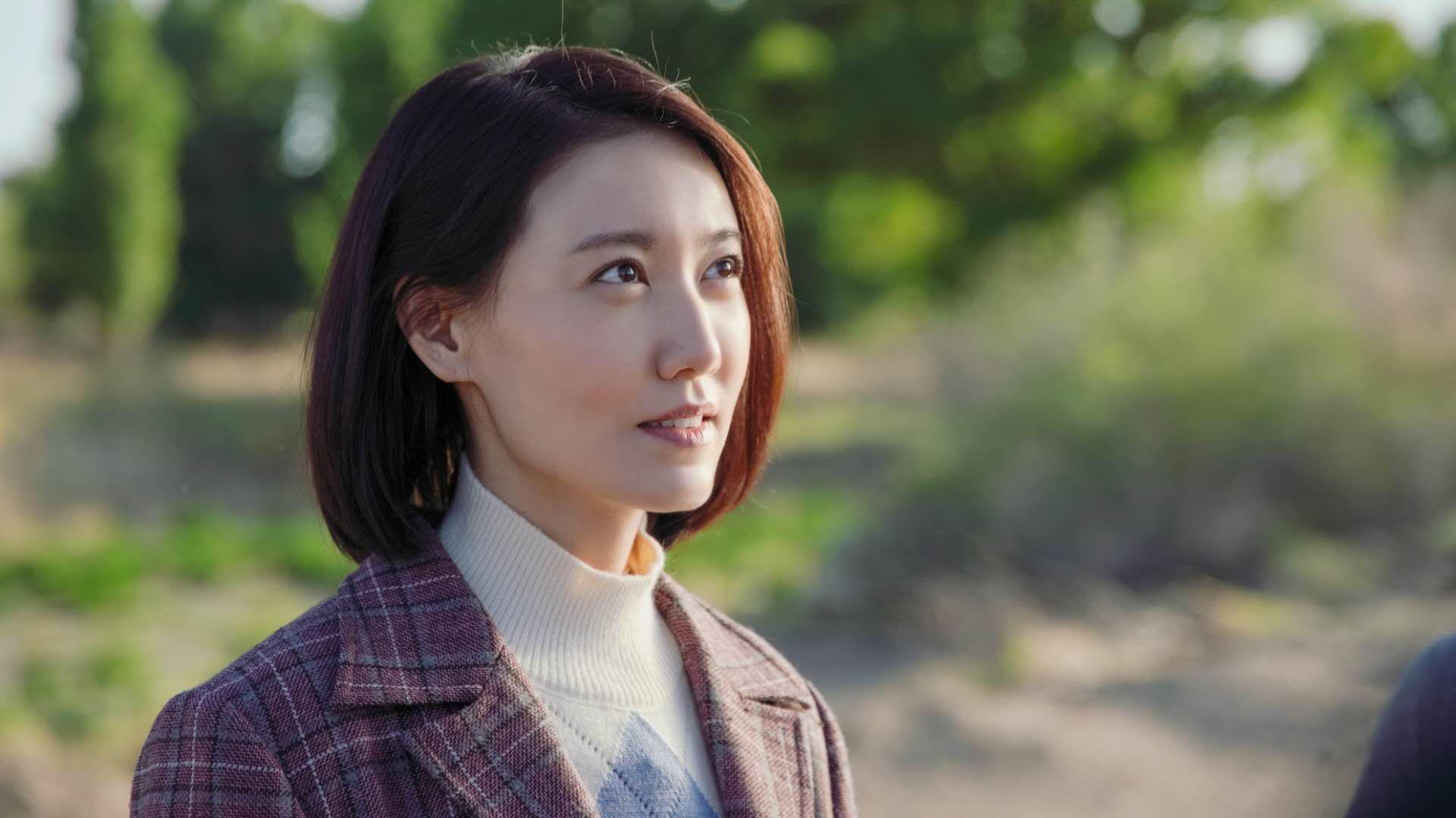 中国篮球联赛赛事数据挖掘及战术智能辅助系统开发，中国篮球数据库查询cuba
