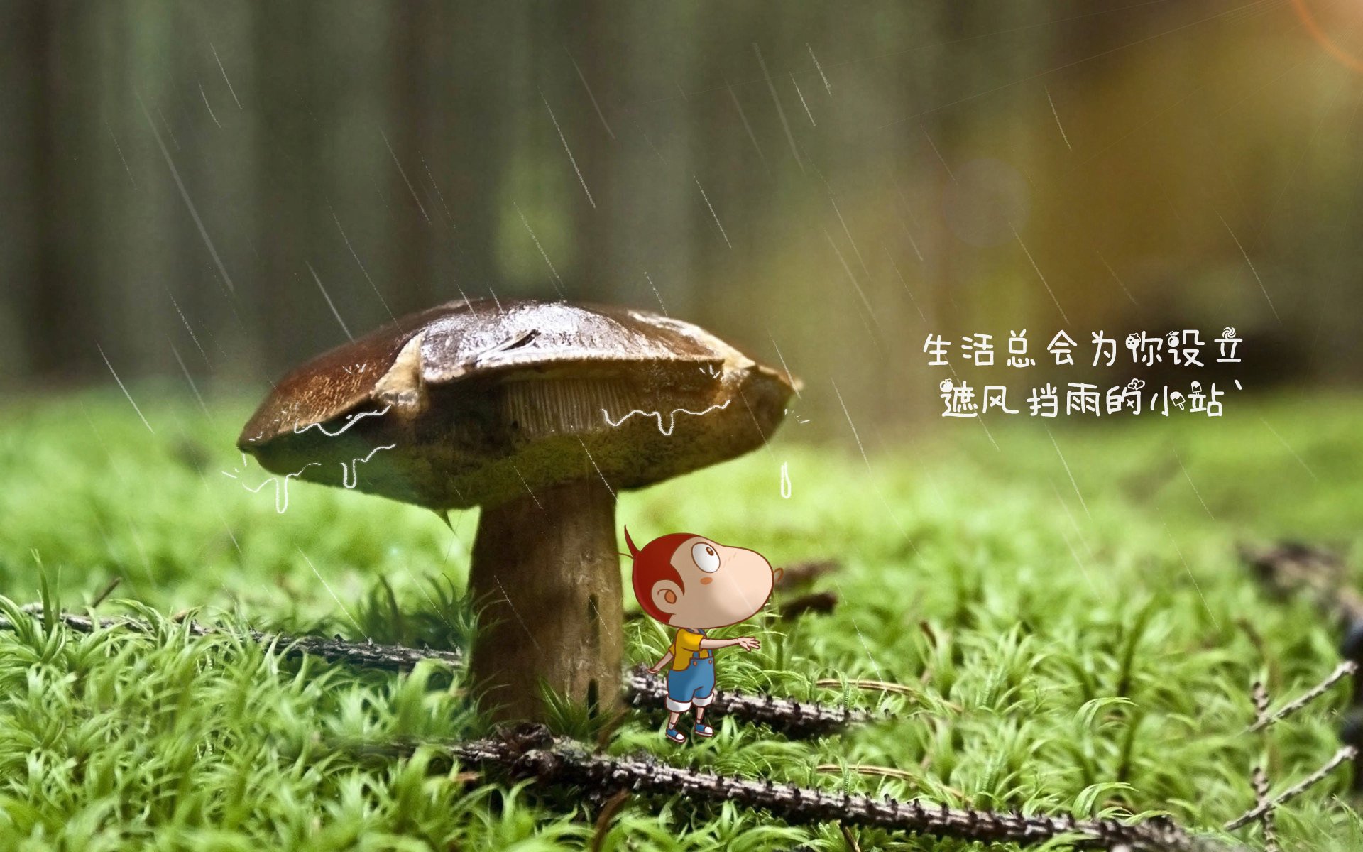 国足球员年龄层主力比例趋势图，国足人员年龄