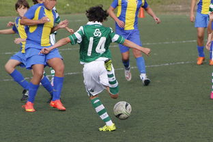 KAIYUNAPP-英超球队引入神经科学干预提升定位球专注度的实证研究