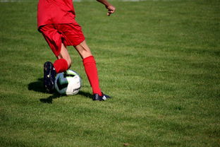 开云平台-英超青训体系中情绪调节训练对青少年比赛焦虑的控制作用，英超青训球员定义