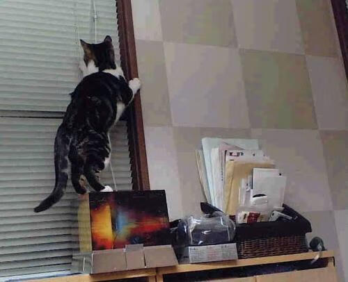 体育新闻中心联合高校推进体育内容大数据分析,体育系新闻