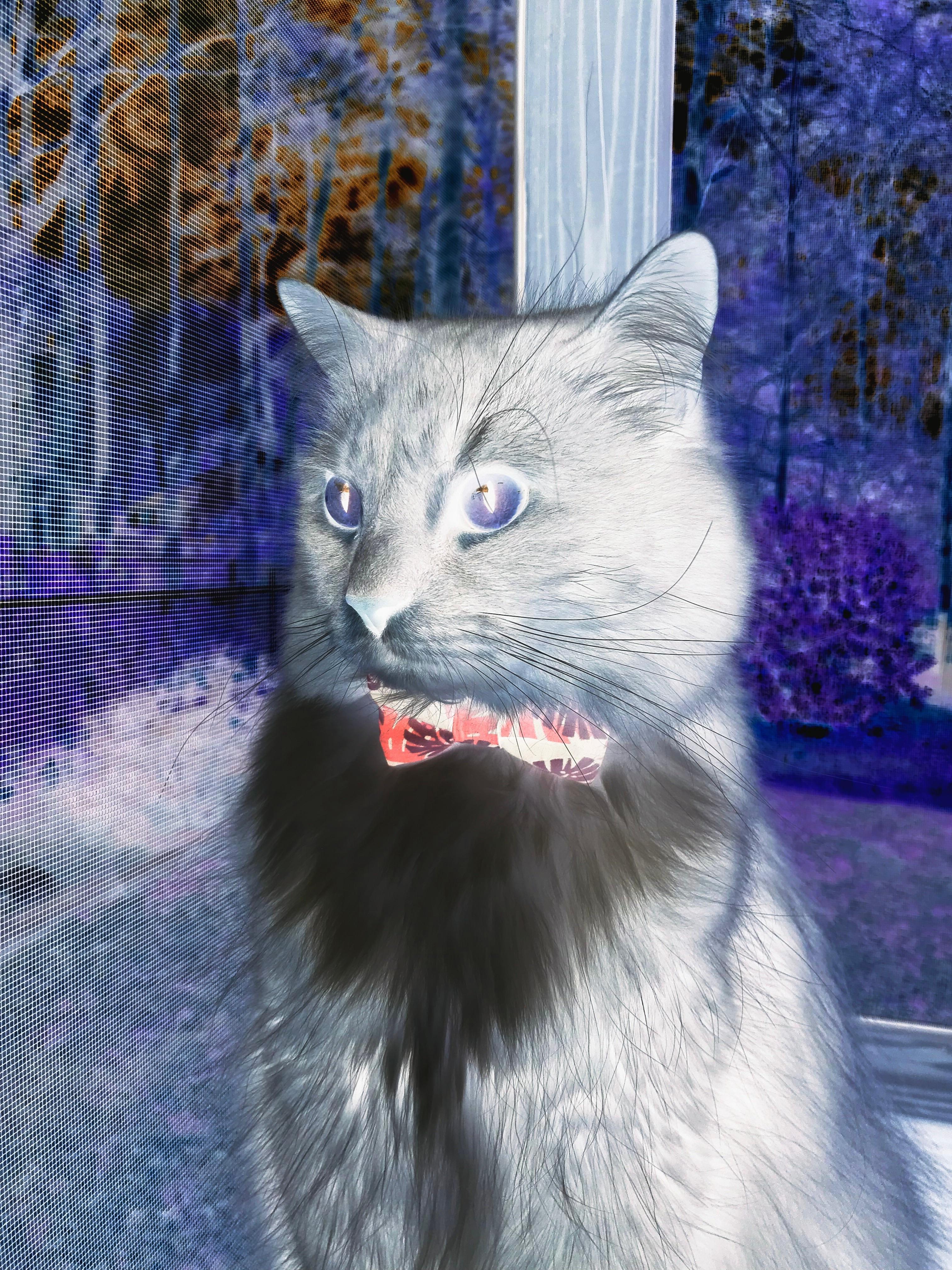 国家男篮提高罚球命中率作为备战重点,现役cba罚篮命中率排行榜