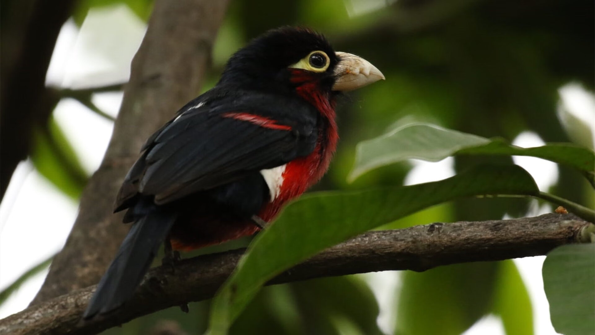 开云kaiyun-田径赛事首次尝试日落时段开赛模式，日落标准时间