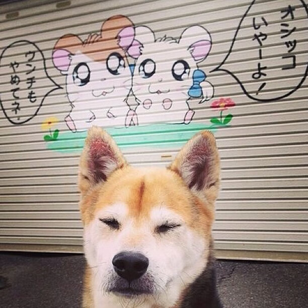 “南非羚羊队再度显现强大防守力,霍斯特功不可没”