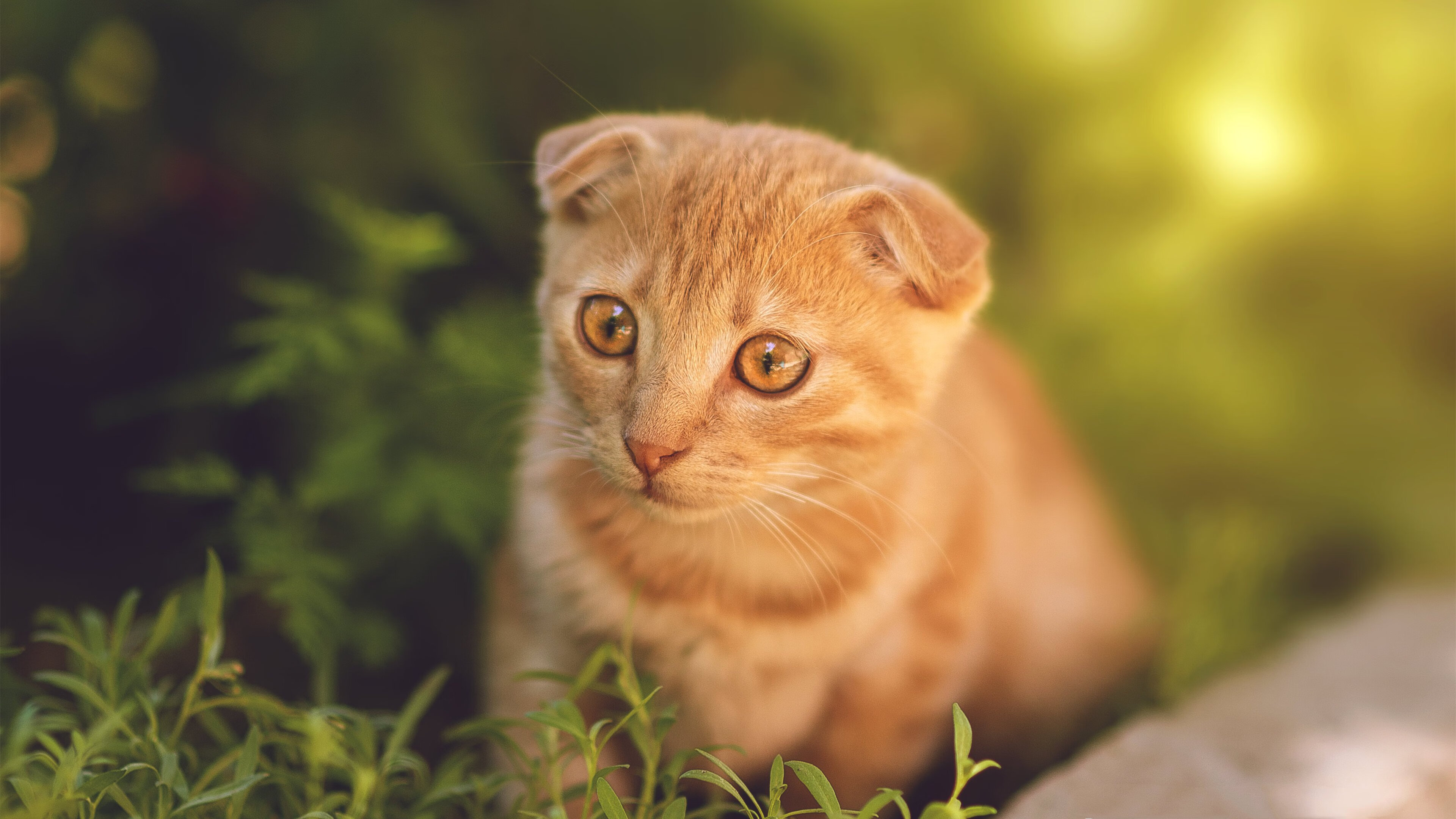 中国足球国家队战术调整取得明显成效,国足阵容战术