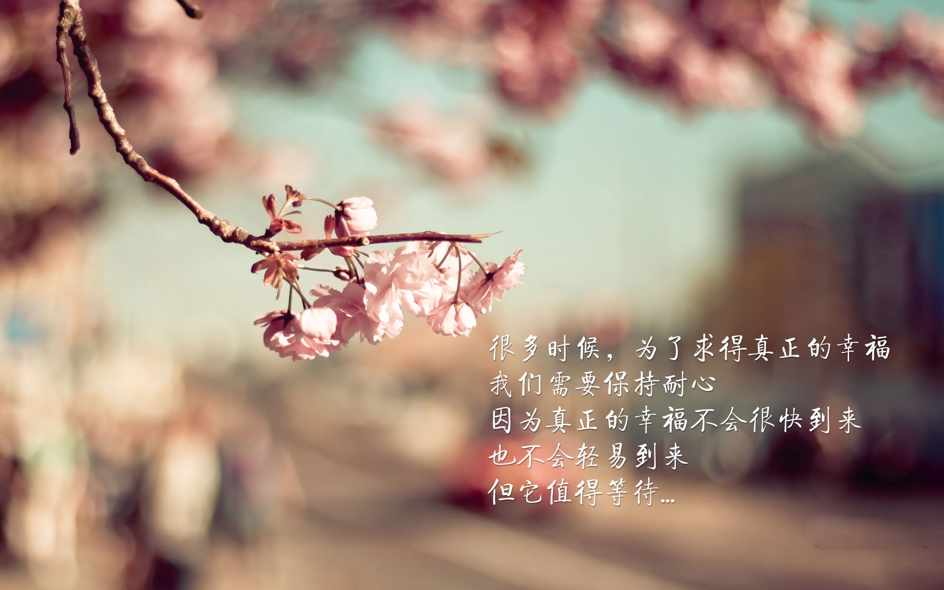 kaiyun登录入口-伊朗队战术纪律严明，亚洲强队地位稳固，伊朗足球队战绩