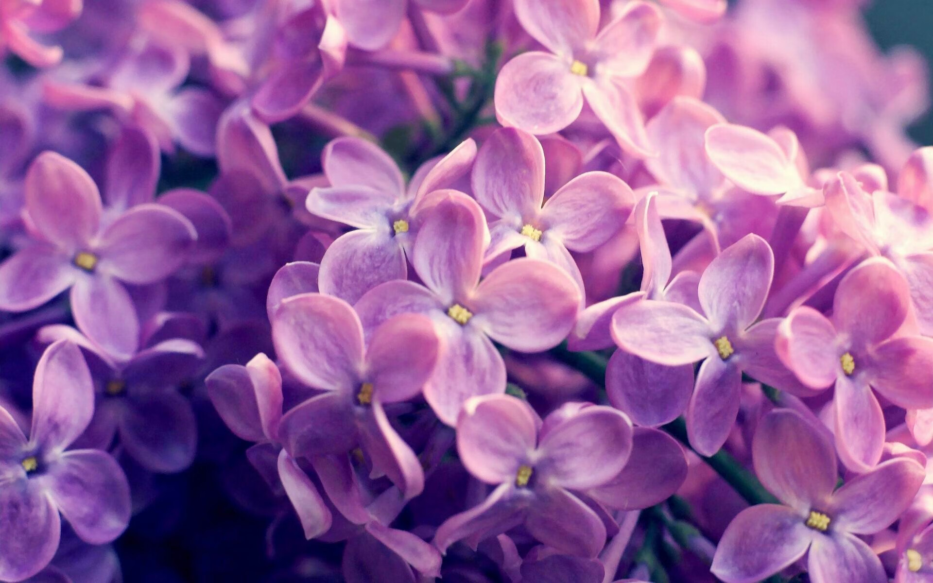 体育纪录片热播带动全民运动热情,体育 纪录片