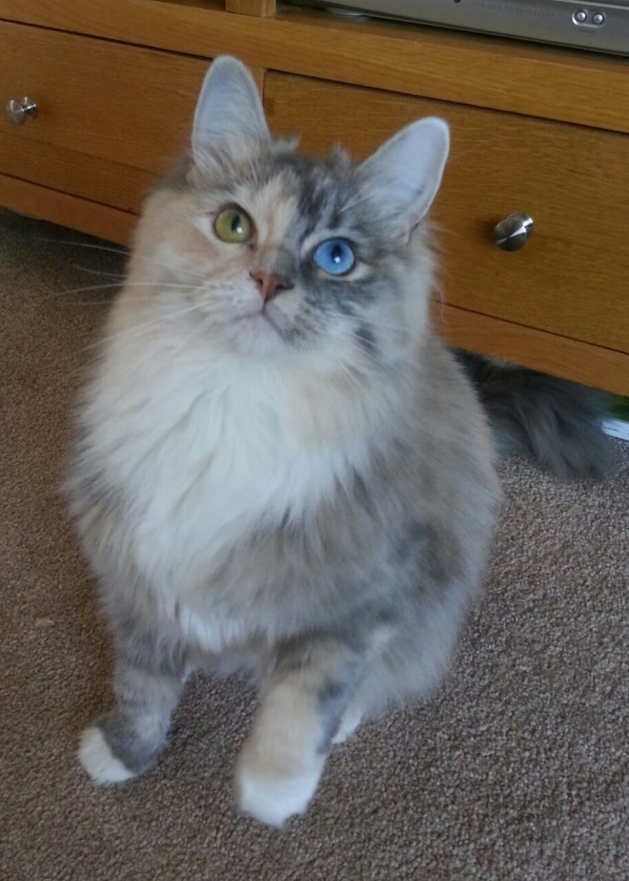 公牛教练带队回顾比赛录像强调攻守切换节奏,公牛教练组