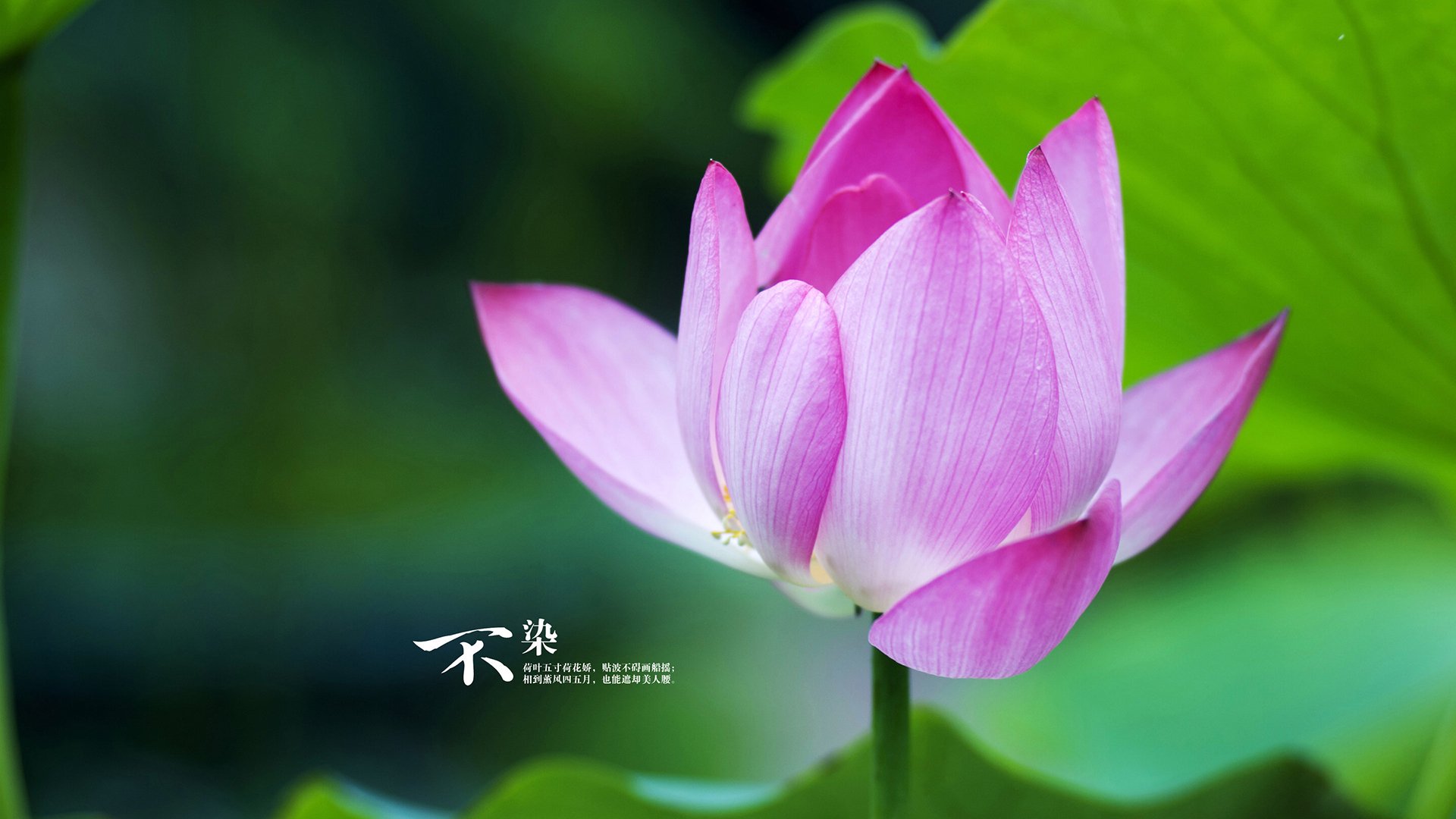 国家体育宣传部门公布体育数字出版规范参考稿,数字体育是什么