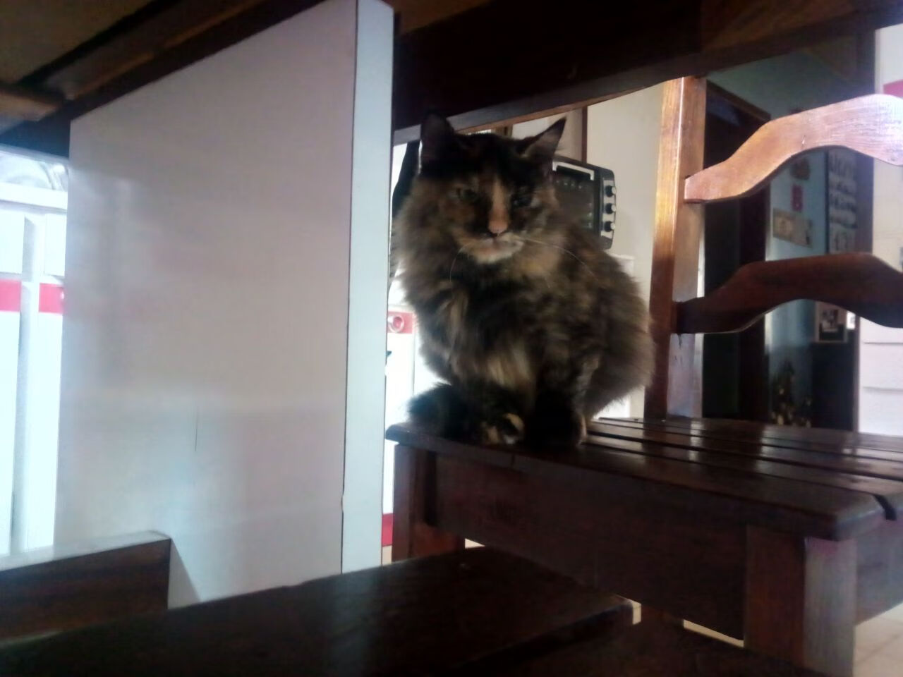 独行侠投篮训练引入智能识别提升精准度,nba独行侠是什么意思