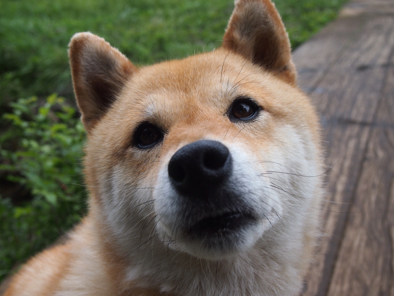 英超冠军争夺:每场战斗都力拼到底!,英超冠军列表