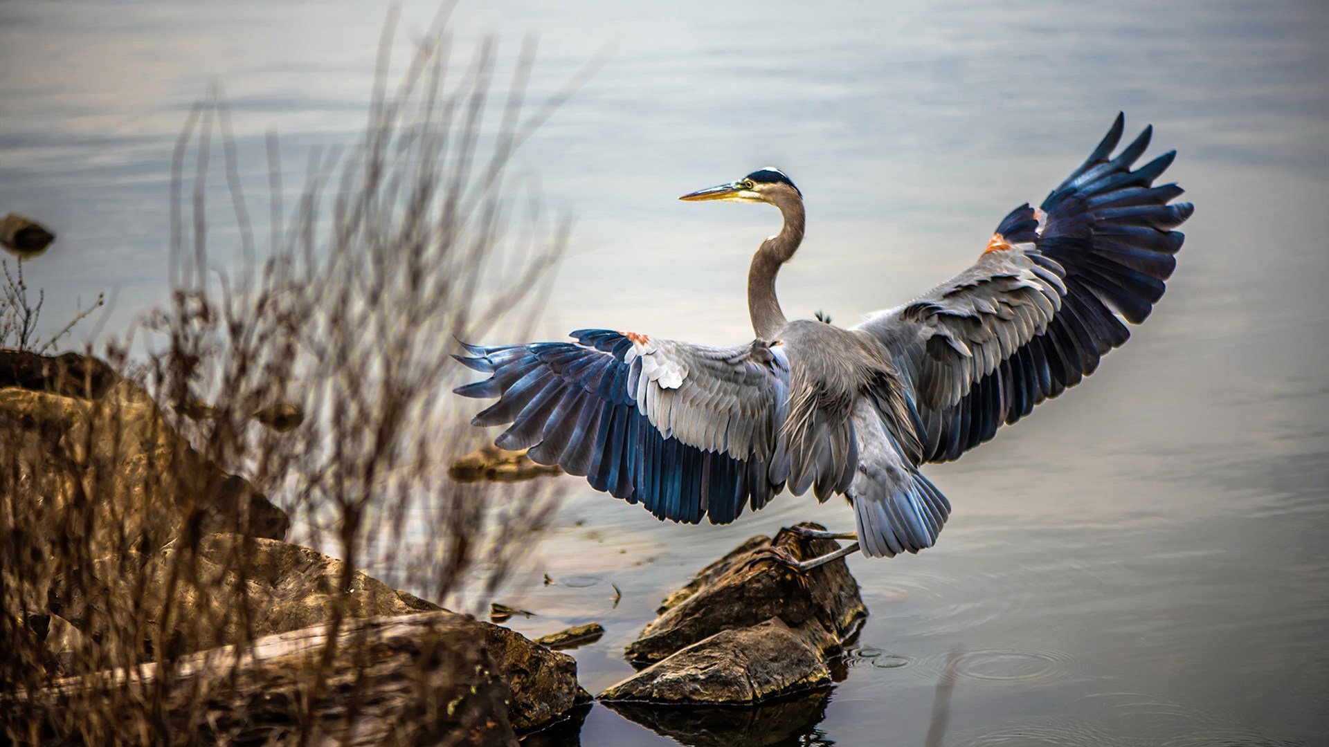 青年运动员训练生活曝光背后付出远超外界想象,青少年运动员的培养