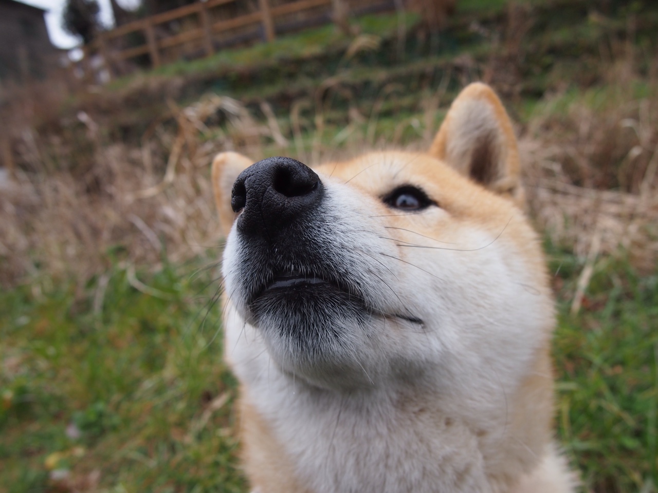 中国足球俱乐部青训营宣传推广与社会媒体影响力,足球青训俱乐部招生宣传