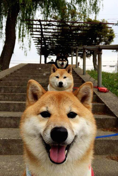 中国足球职业联赛社交媒体官方账号运维策略，足球交流平台